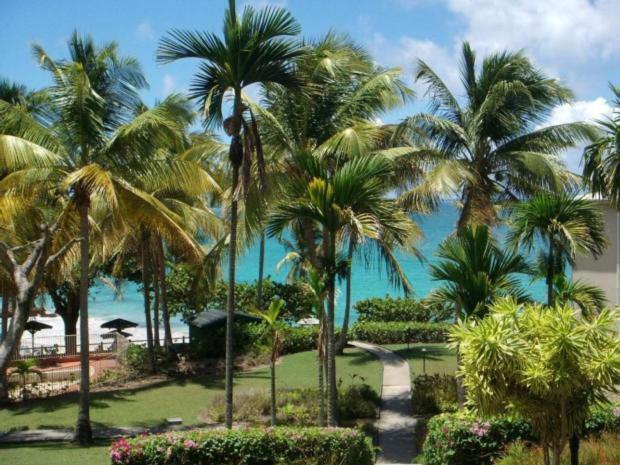 Le pélican Le Gosier  Exterior foto